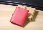 Green/Red Leather Wallet