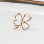 4-in-1 unique brooch clip